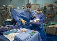 A medical nurse looks over surgical instruments during an operation